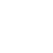 Dollar sign icon
